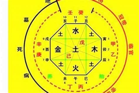 八字 食神|八字命理中的食神是什麼意思？揭開食神的多重含義